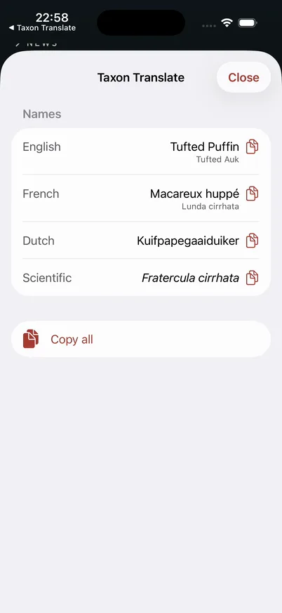 Taxon Translate showing Tufted Puffin, Macareux huppé, Kuifpapegaaiduiker, and Fratercula cirrhata