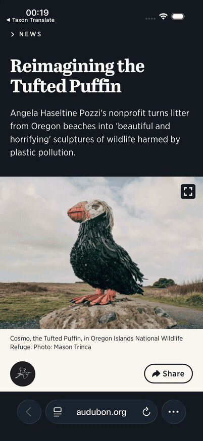 Macareux huppé and Kuifpapegaaiduiker appear after selecting Tufted Puffin in a Safari article, revealing Share, choosing Taxon Translate, and then closing the result to continue reading